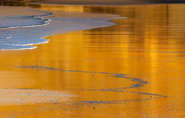 Haney, Chuck 아티스트의 Reflective wet sand at sunrise-Cape Kiwanda in Pacific City-Oregon-USA작품입니다.
